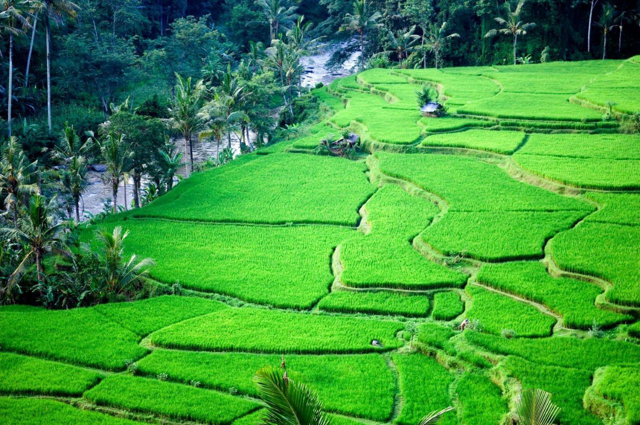 Melati * Ubud