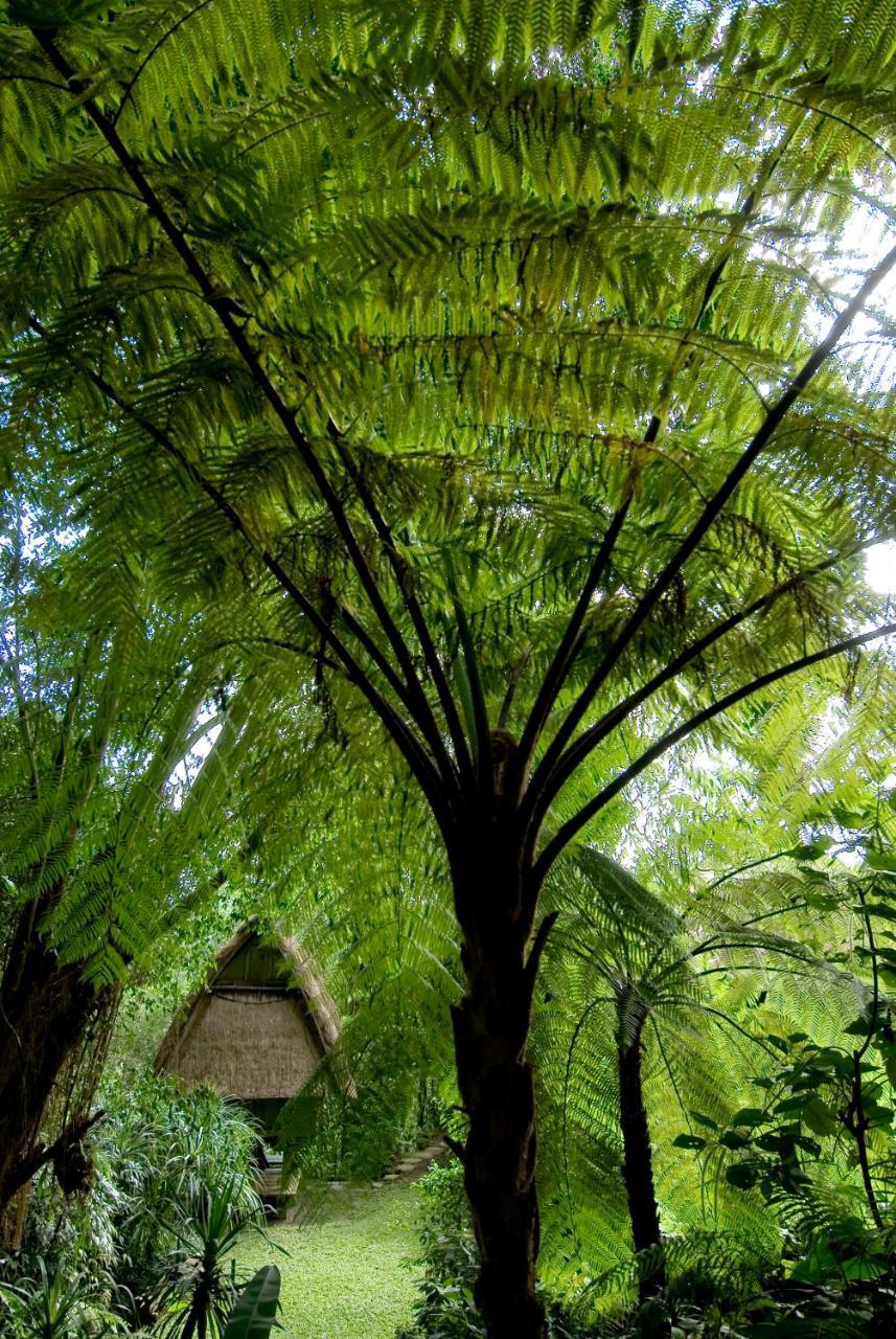 Melati Villa Ubud