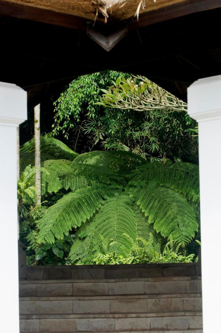 Melati Villa Ubud